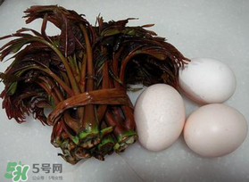 哺乳期可以吃香椿炒雞蛋嗎？哺乳期可以吃香椿炒雞蛋嗎？