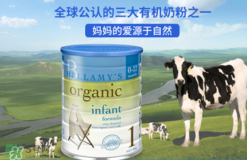 貝拉米奶粉報(bào)價(jià)多少？貝拉米奶粉價(jià)格多少？