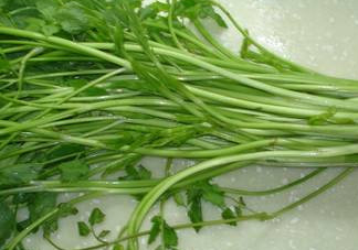 水芹菜有毒嗎？水芹菜有沒(méi)有毒