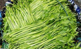 水芹菜怎么吃？水芹菜的做法