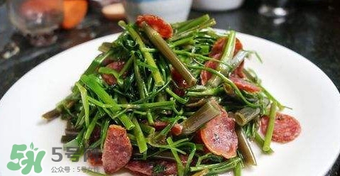 水芹菜孕婦能吃嗎？懷孕的人可以吃水芹菜嗎