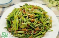 吃水芹菜有什么好處？吃水芹菜有哪些好處