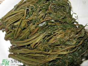 腌香椿要燙嗎？香椿腌之前用不用開水燙？