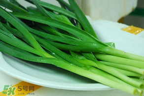 蒜苗發(fā)黃怎么回事？蒜苗發(fā)黃是什么原因？