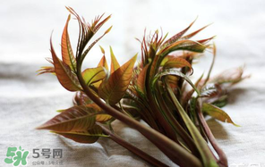 香椿怎么洗？香椿芽怎么洗干凈？