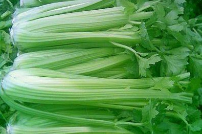 水芹菜和芹菜一樣嗎？水芹菜和芹菜的區(qū)別