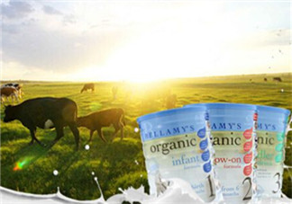 貝拉米奶粉甜嗎？貝拉米奶粉甜不甜？