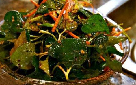 魚腥草根和葉哪個好？魚腥草根好還是葉子好