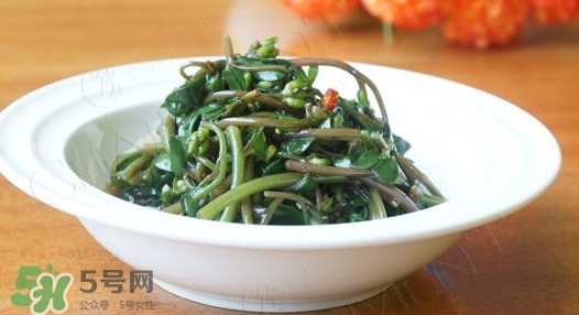 馬莧菜怎么吃？馬莧菜怎么做好吃