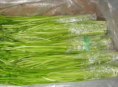 水芹菜如何保鮮？水芹菜怎么保鮮