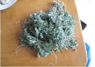 白蒿是茵陳嗎？白蒿與茵陳有什么區(qū)別