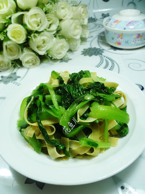 雞毛菜是什么菜？雞毛菜是小白菜嗎