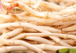 新鮮魚(yú)腥草怎么煮水？魚(yú)腥草怎么煮水喝