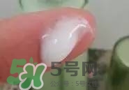 一葉子和百雀羚哪個好？一葉子和百雀羚面膜對比