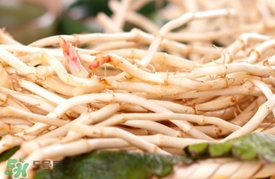 新鮮魚腥草怎么煮水？魚腥草怎么煮水喝