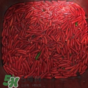 辣醬怎么做好吃？四川辣醬的制作方法