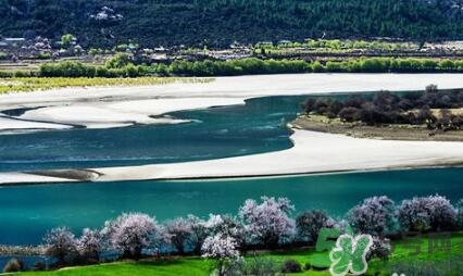 四月份去哪里旅游比較好？四月份最適合旅游的地方