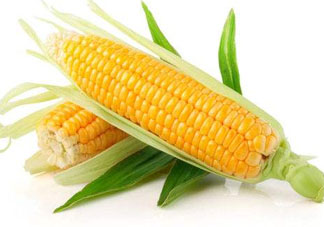 四月份的玉米能吃嗎？四月份有玉米嗎？