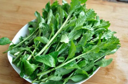 枸杞頭是什么樣子？枸杞頭是什么菜