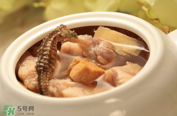孕婦可以吃海馬煲湯嗎？海馬湯孕婦可以喝嗎？