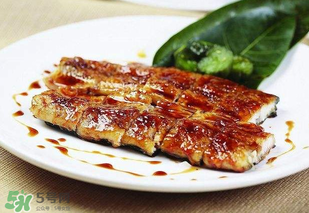 孕婦可以吃白鱔嗎？孕婦能吃白鱔嗎？