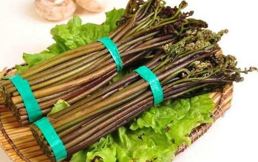 蕨菜到底能不能吃？山上的蕨菜能不能吃