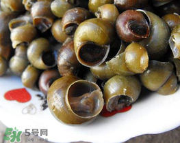 田螺可以凈化水質(zhì)嗎？田螺能凈化水質(zhì)嗎？