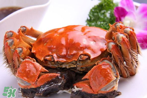 四月份有大閘蟹嗎？4月份還能買到大閘蟹嗎？