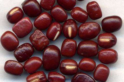赤小豆是赤豆嗎？赤小豆是紅小豆嗎
