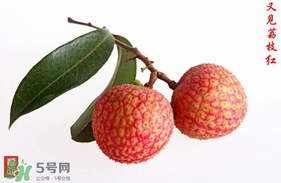 4月份有荔枝嗎？四月份有荔枝嗎？