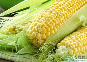 四月份的玉米能吃嗎？四月份有玉米嗎？