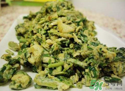 香椿能和胡蘿卜一起吃嗎？香椿和胡蘿卜一起吃好嗎？