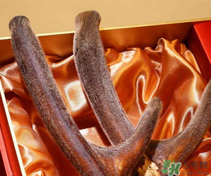 鹿茸不能和什么一起吃？鹿茸不能與什么同食？