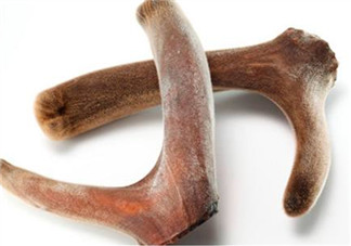 鹿茸熬雞起什么功效？鹿茸雞湯的功效