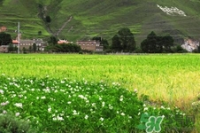 四月份去哪里旅游比較好？四月份最適合旅游的地方