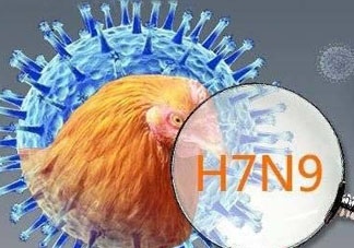 四月份還有禽流感嗎？4月份是禽流感高發(fā)期嗎？