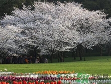 四月份去哪里旅游比較好？四月份最適合旅游的地方