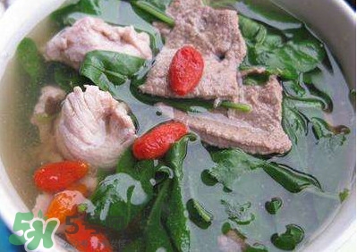 枸杞頭孕婦能吃嗎？枸杞頭孕婦可以吃嗎