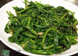 枸杞頭怎么吃？枸杞頭如何吃