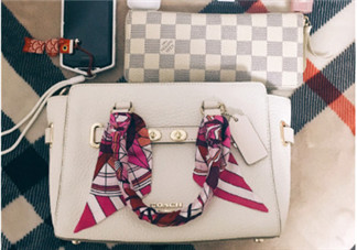 swagger coach包尺寸,swagger coach真假對比