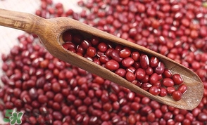 赤豆是什么豆？赤豆是紅豆嗎