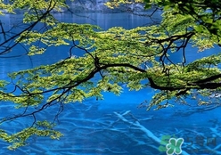 四月份去哪里旅游比較好？四月份最適合旅游的地方