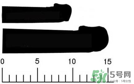 男人陰莖多長正常？男人陰莖增長的方法