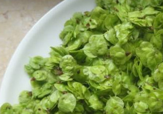 榆錢有什么特點(diǎn)？榆錢有什么作用