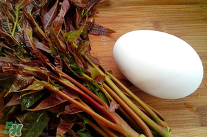 孕婦能吃春芽炒鵝蛋嗎？香椿炒鵝蛋孕婦能吃嗎？