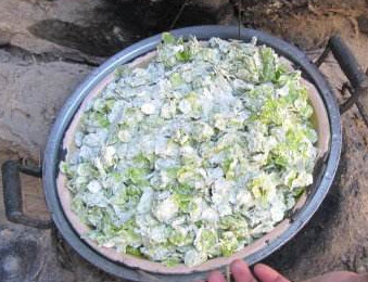 榆錢苦累怎么做？榆錢苦累的做法