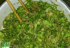 榆錢可以包餃子嗎?榆錢包餃子的做法 榆錢可以包餃子嗎?榆錢包餃子的做法