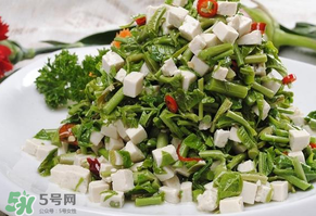 香椿可以助孕嗎？香椿有助孕的功效嗎？