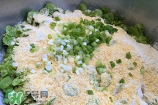 榆錢可以烙餅嗎?榆錢烙餅的做法 榆錢可以烙餅嗎?榆錢烙餅的做法