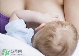 香椿會(huì)回奶嗎？吃香椿會(huì)回奶嗎？